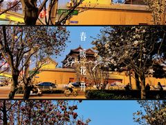 -雍和宫