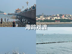 -栈桥景区