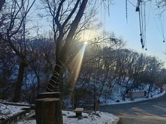 -北山公园