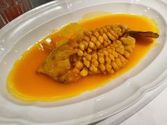 松鼠桂鱼-福1088
