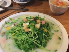上汤豆苗-首秀·四川料理(星耀101店)