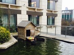 -行者书屋大堂吧 ·下午茶(南京圣和府邸酒店)