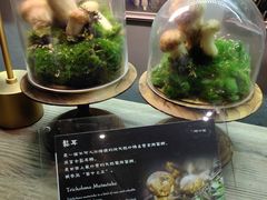 -原牛道·潮汕围炉火锅(讯美店)