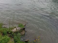 -野三坡清泉山风景区