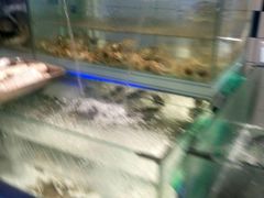 -大润发(梅兰东路店)