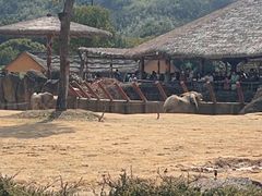 -杭州野生动物世界