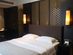 -成都峨眉雪芽大酒店