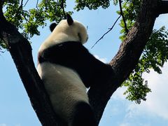 -北京动物园