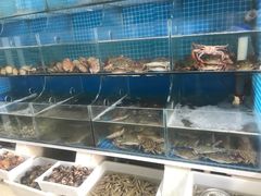 水产区-宾朋海鲜特色美食餐厅·纯手工鲅鱼水饺(兴海路店)