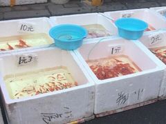 -哈尔滨道外花鸟鱼市场