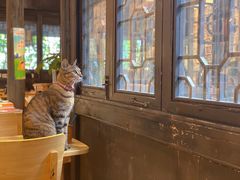 -猫的天空之城概念书店(杭州南宋御街店)