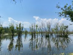 -野鸭湖国家湿地公园