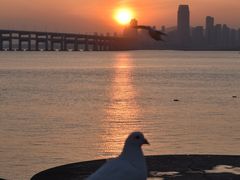 -星海广场