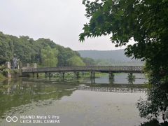 -西湖外事游船(花港观鱼码头)