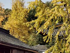 -西园戒幢律寺