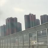 太丑了，路过的时候简直惊呆了