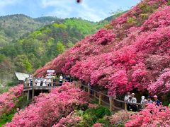 -木兰云雾山