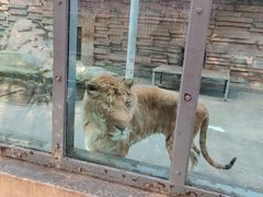 -宁波野生动物园