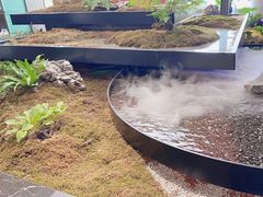 -雅苑中餐厅
