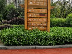 -龙头寺公园