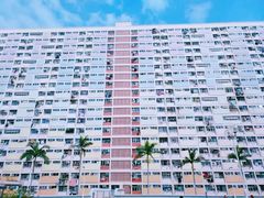 -大埔公路-马料水段香港中文大学(公交站)