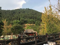 -楠柏弯休闲山庄(梨花溪店)