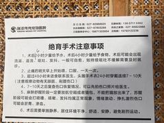 -伟伟宠物医院·CT影像中心·瑞派犬猫综合性门诊(汉口总院)