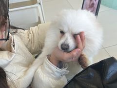 -怪兽屋·羊驼·猫咖·狗咖(俊华广场店)