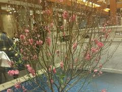 -盆满钵满·国家非遗传承(云台店)