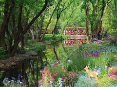 -上海共青森林公园