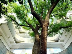 -湖北美术学院(昙华林校区)