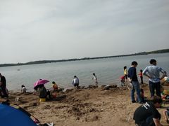 -丁香湖公园