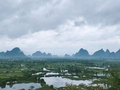 -会仙湿地