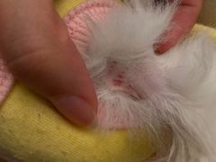 -美联众合动物医院·24h京西诊疗中心