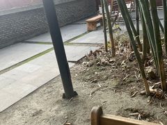-扫雪煮茶(西村店)
