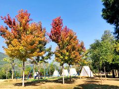 -北京西山国家森林公园