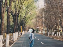 -长白岛森林公园