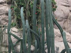 -北京植物园-展览温室