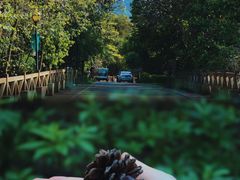 -广州市流溪河国家森林公园