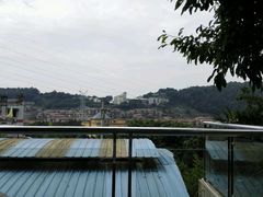 -老幺泉水鸡