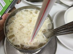 -澳洲牛奶公司(佐敦店)