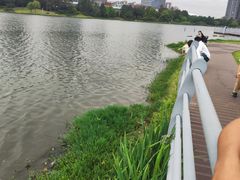 -美兰湖景区