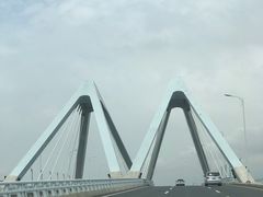 -南汇嘴观海公园