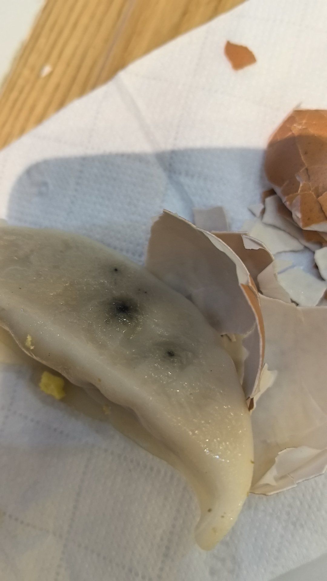 酒店自助的发霉饺子