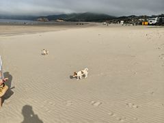 -嵊泗基湖沙滩