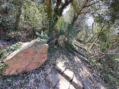 -桃花岛风景旅游区