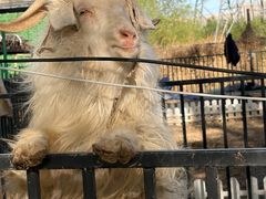 -蓝地时尚庄园(北京清河营地铁站店)