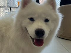 -怪兽屋·羊驼·猫咖·狗咖(俊华广场店)