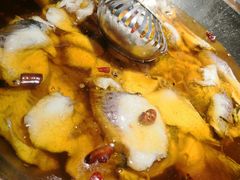 -雲蜀龙阁·金牌水煮鱼(方庄店)