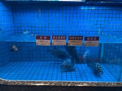 -协成海鲜火锅(情侣路店)